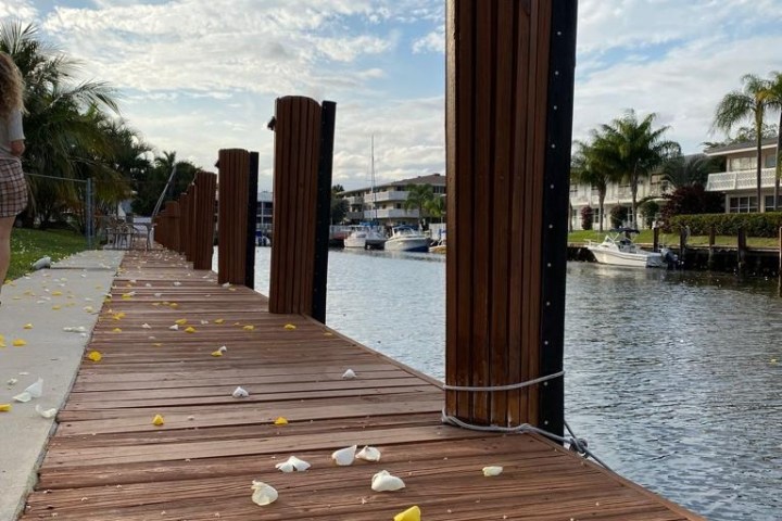 Wooden dock with scattered petals by a canal under a partly cloudy sky.