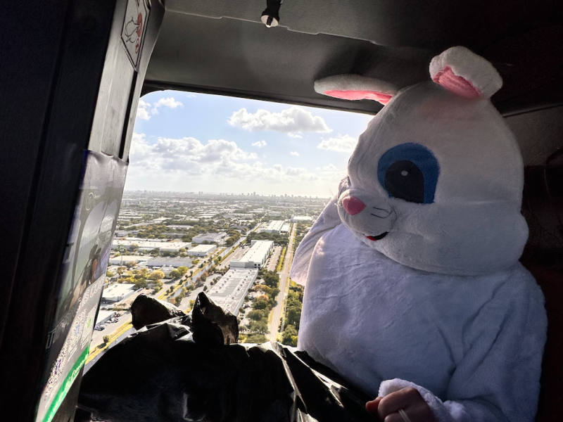 Person in bunny costume in helicopter overlooking cityscape.