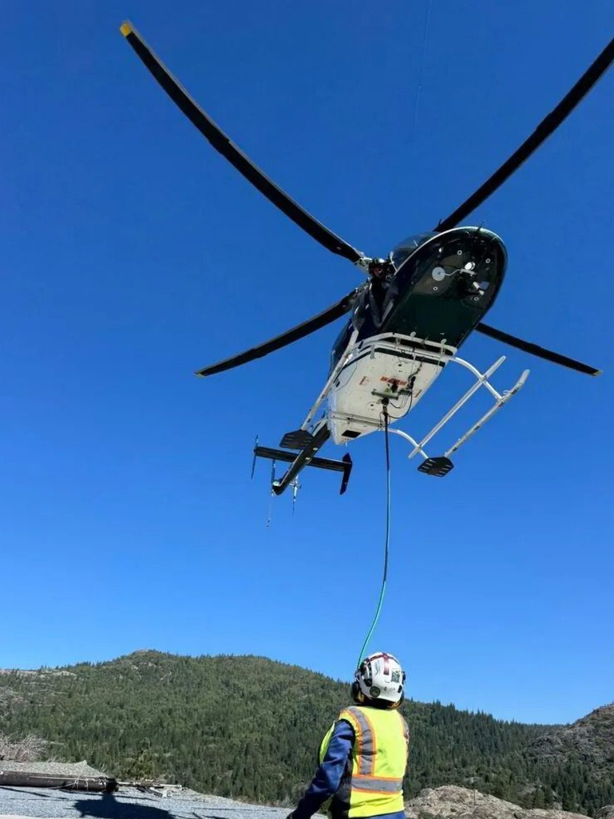 forestry_services-img