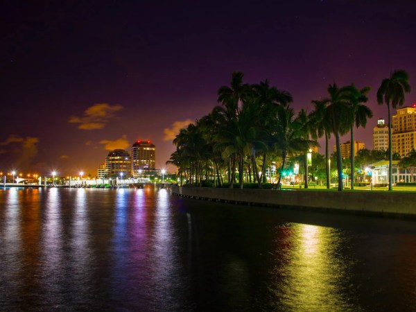 City skyline and palm trees at night reflected in water.