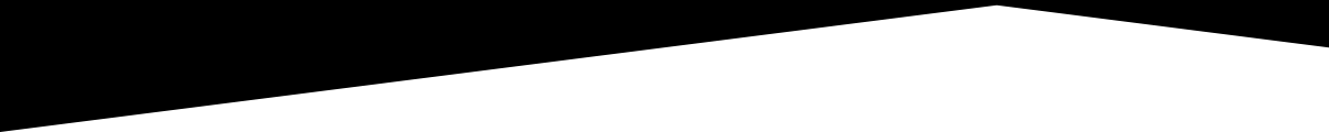 Black and white geometric shape with a diagonal division.